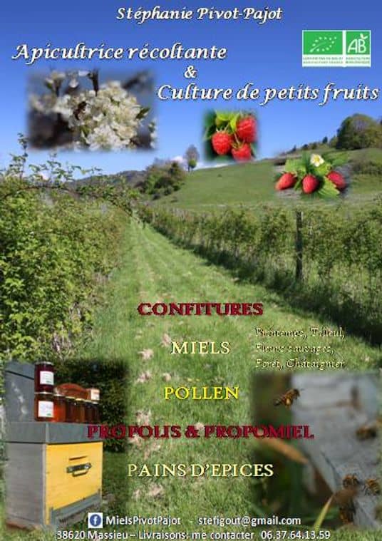 flyer2-corrige-apipetitsfruits2