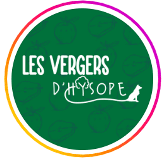 logo vh
