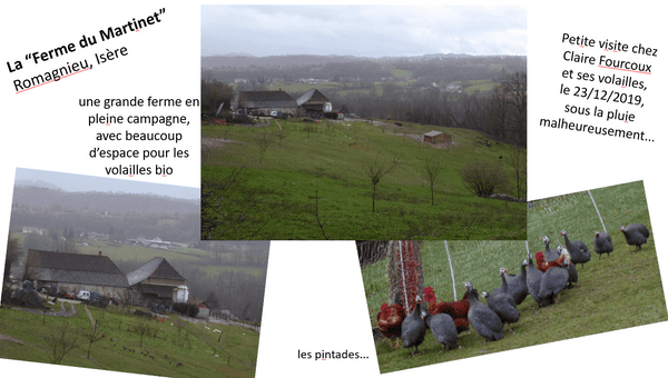 Capture d&rsquo;écran 2025-01-12 180658